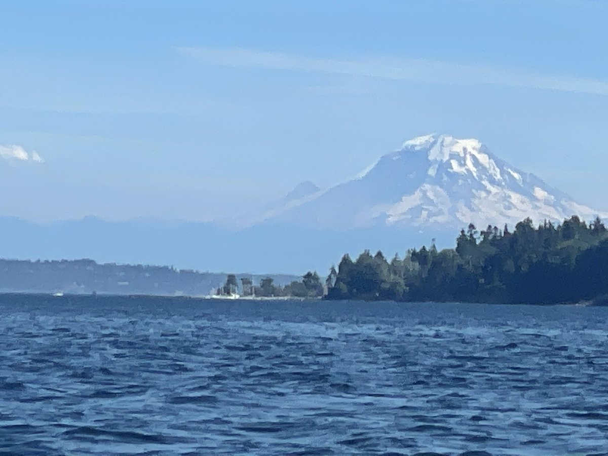 sedatedfork's tweet image. Boating is my happy place