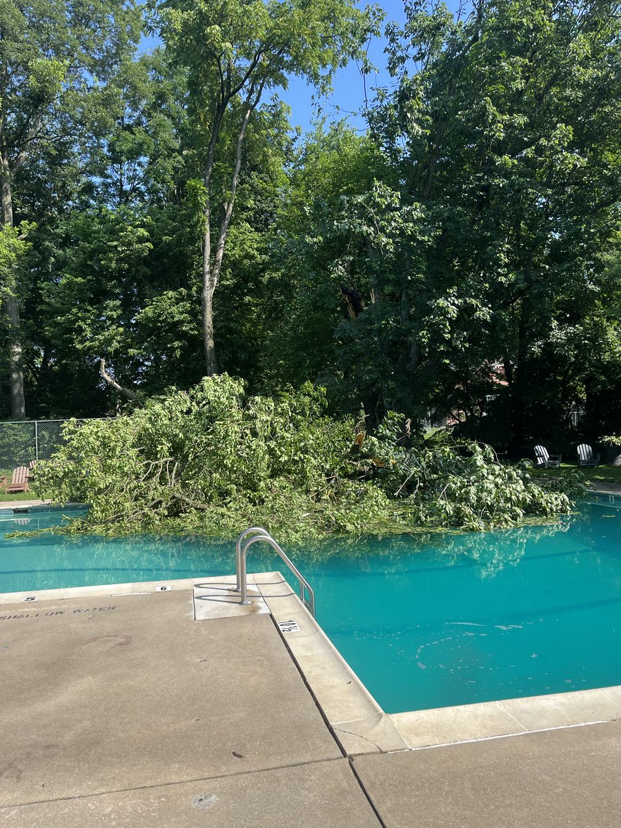 HCSwimClub tweet media