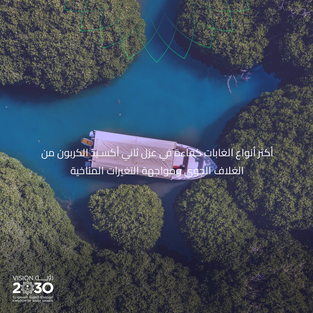 تستمر #رؤية_السعودية_2030 منذ انطلاقها في إعادة التوازن البيئي وحفظ التنوع البيولوجي للمملكة، وتعمل على حماية النباتات البحرية التي توفر الغذاء والمأوى للأسماك، ضمن رؤية شاملة لإعادة تأهيل المناطق الطبيعية

<a href="/NTP_2030/">برنامج التحول الوطني</a> 
<a href="/ncvcksa/">المركز الوطني لتنمية الغطاء النباتي ومكافحة التصحر</a>