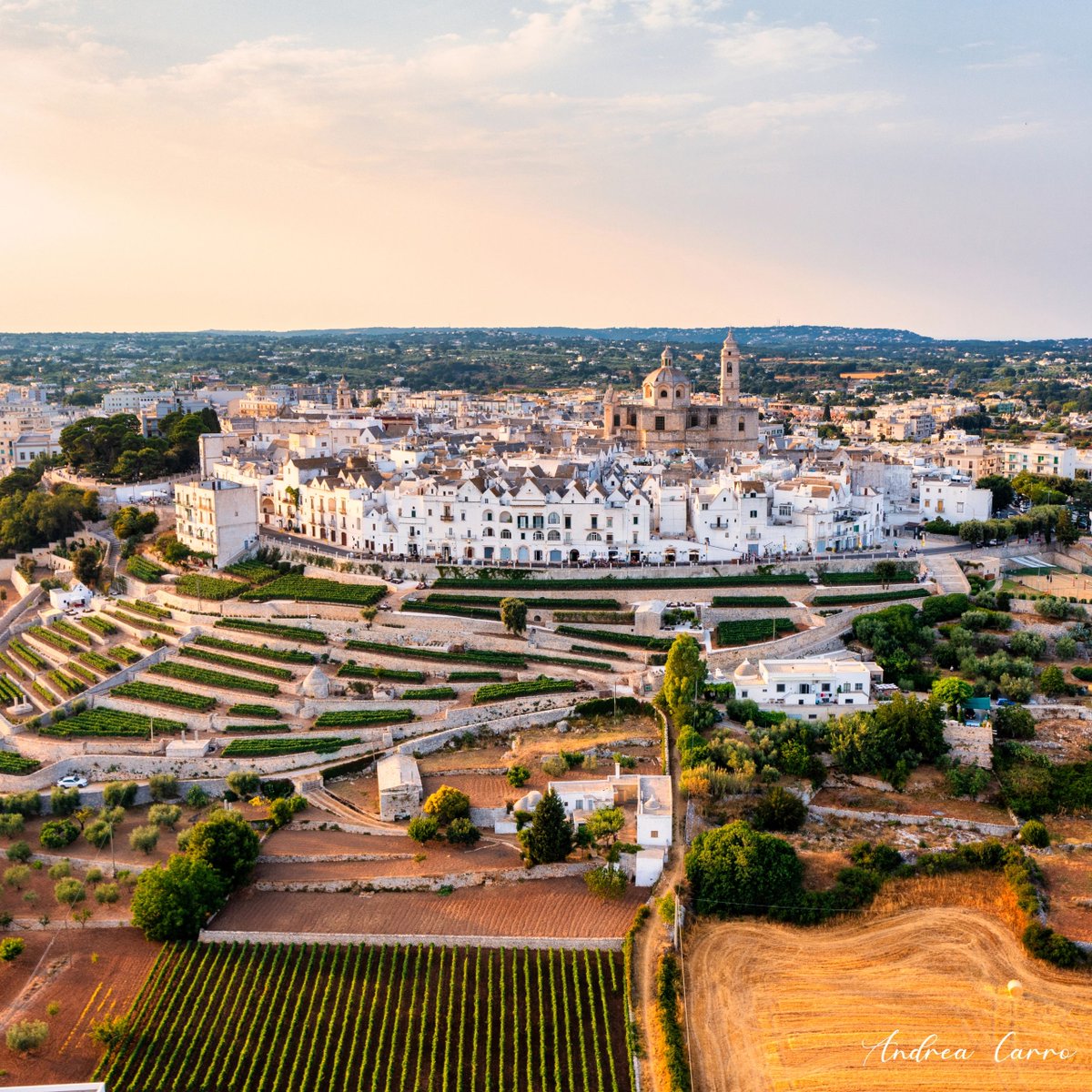 Un affascinante borgo dalla forma rotonda, circondato da muretti a secco e vigneti: siamo a Locorotondo, incastonato sull'altopiano delle Murge dei trulli.  
 #WeAreinPuglia         
📸 <a href="/andrea__93/">28793__a</a>