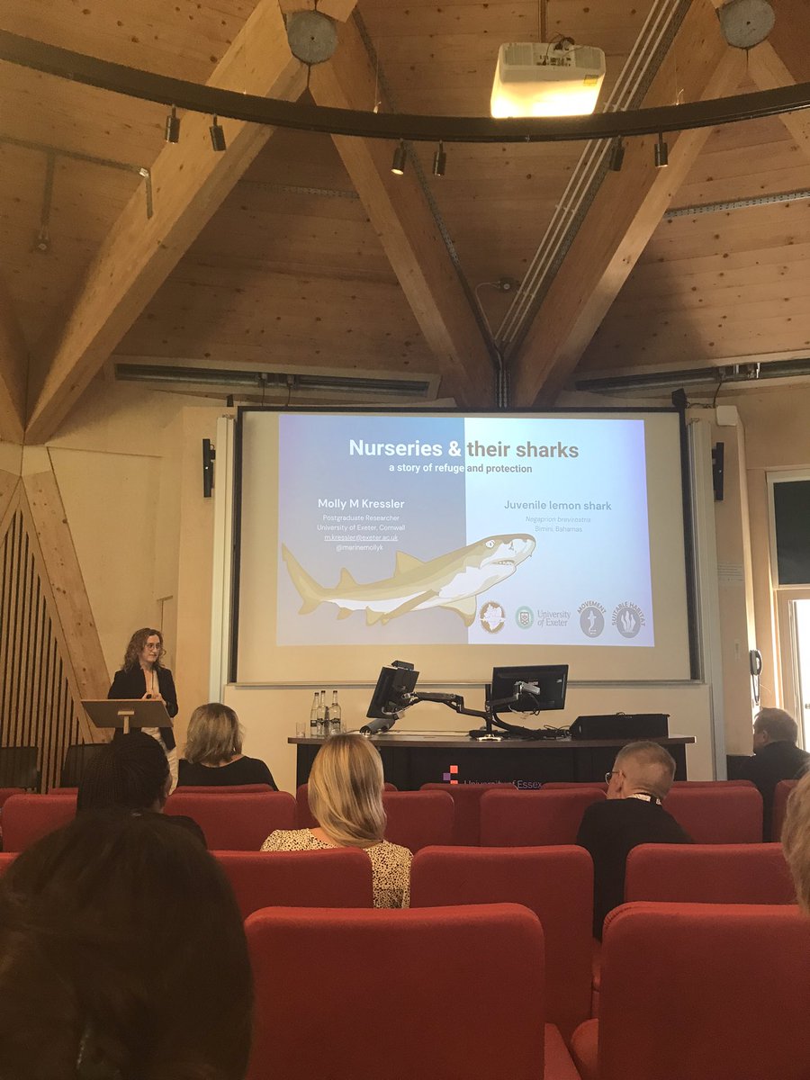 CooperPalaeo's tweet photo. Brilliant presentation from @marinemollyk on nursery dependancy in juvenile lemon sharks 🦈 Always fantastic to see the great PhD research from fellow @univofstandrews biology alumni in person! 

@fsbi2023 @TheFSBI #FSBI2023 https://t.co/nGk6qVPZVq