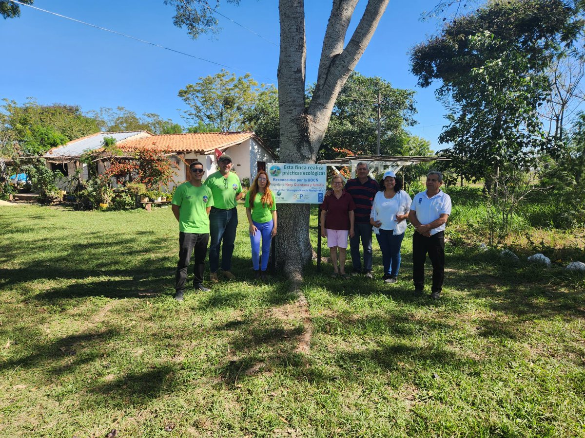 PNUD Paraguay tweet media