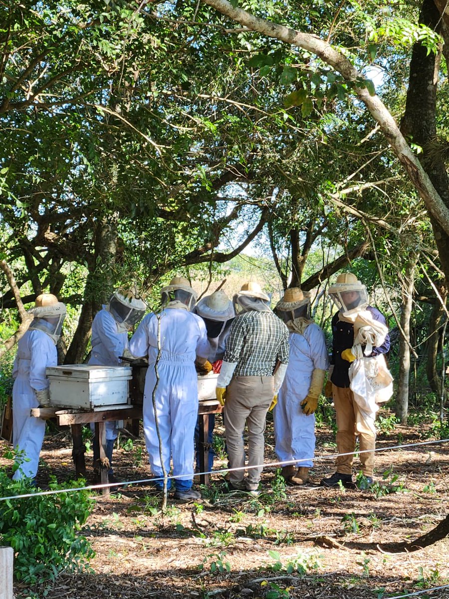 PNUD Paraguay tweet media