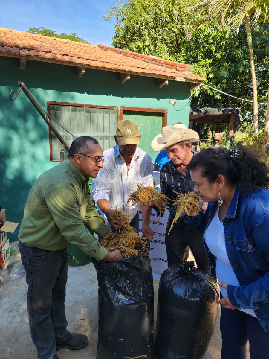 PNUD Paraguay tweet media