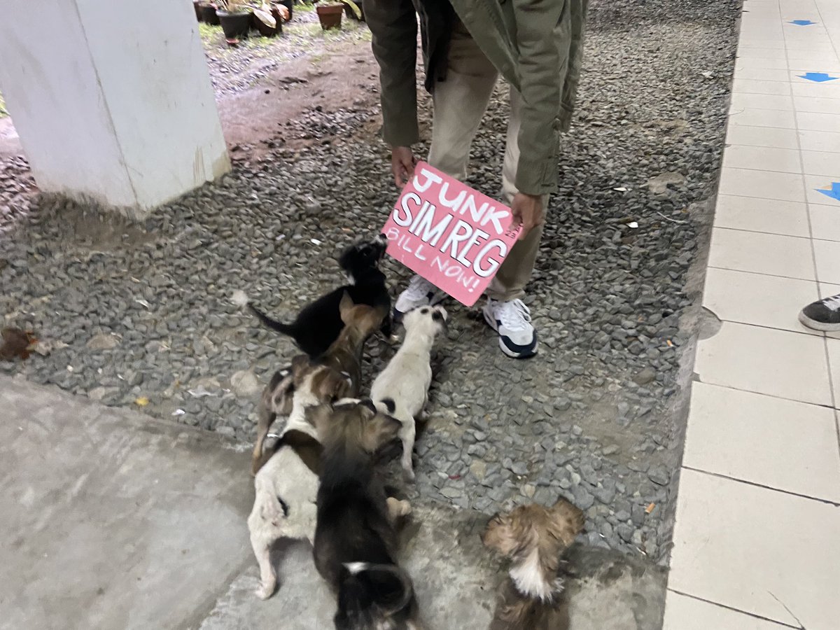 _cheskaatienza's tweet photo. even the cs admin doggos agree!!! 🐶✊

#NoToSIMDeactivation #JunkSIMReg #SIMRegistrationIbasura https://t.co/LfNr9Mw9do