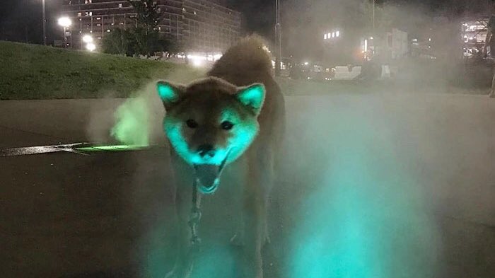 oddshift_'s tweet image. hopefully it’s even more dramatic than the original. i love the illustration