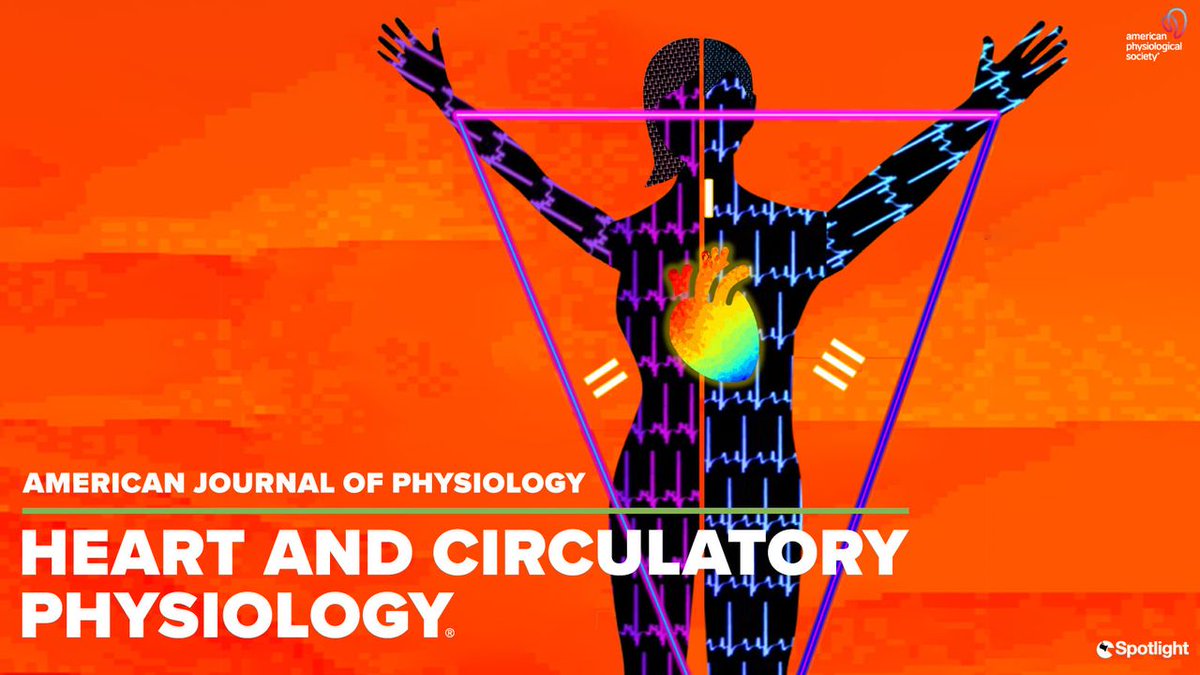Does your #cardiovascular research consider #SexAsABiologicalVariable? SUBMIT your manuscript and tag it with our special #SABV content category. We'll take good care of it ✅ ow.ly/vhAh50PlOaG