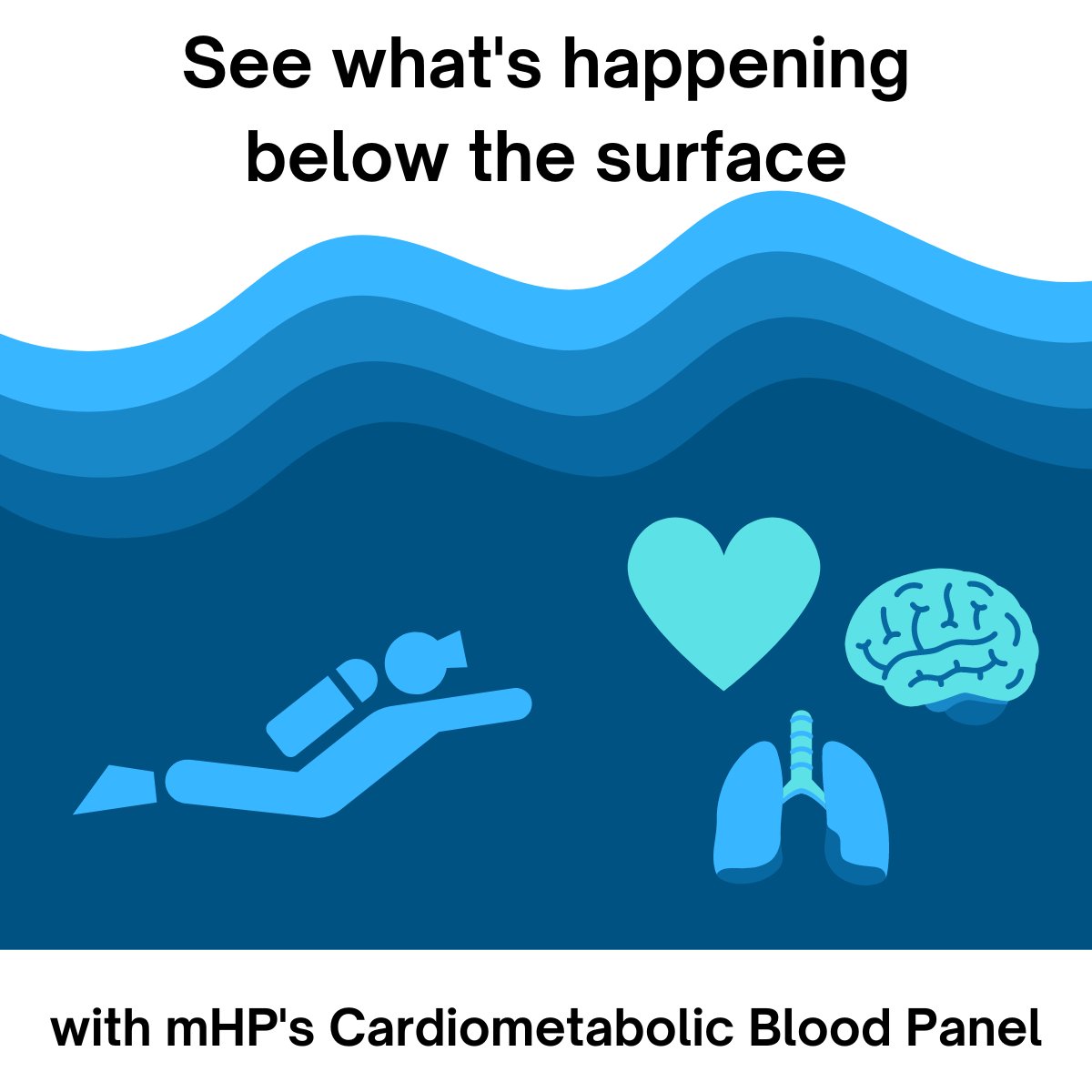 MyHealthPlan_io's tweet photo. Sometimes it can feel like #symptoms go unaddressed even after a doctoral #diagnosis. That's where the mHP Advanced Cardiometabolic Blood Panel comes in! It gives you #info on often untested #body systems so you know what to ask about https://t.co/2WwRiRDYIr! https://t.co/SWphXPqu5S