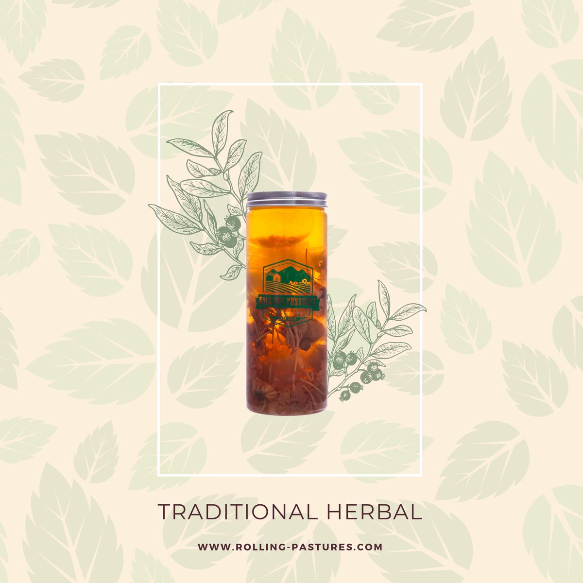 rolpasturesvn's tweet photo. Sip, savor, and nourish your senses with our delightful blend of flavors. Sourced sustainably, blended masterfully – each sip is a celebration of taste and nutrition. Elevate your tea moments with us🌱

 #foodandbeverage #tea #microtea #brand #nutrition #health #healthcare https://t.co/wbHnEpPJAw