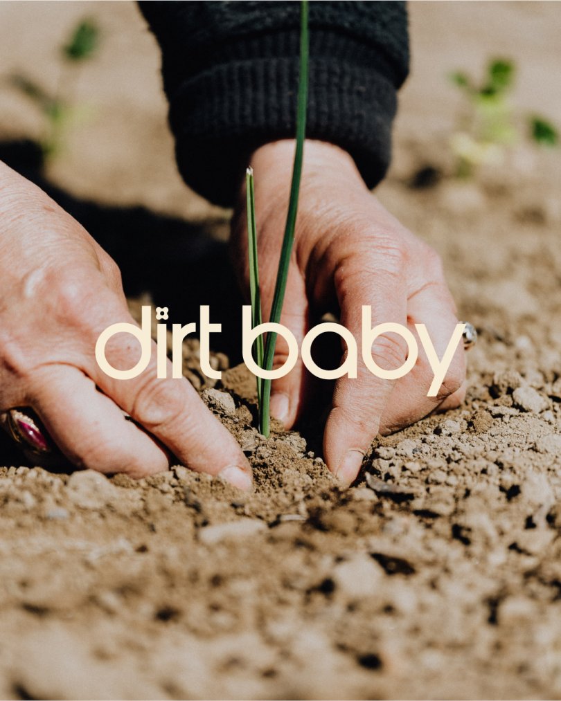 creativeboom's tweet image. Dirt Baby: @practice_inc on why it's created a fake brand for people who treat their plants like pets bit.ly/3Q7uAbM #designinsight 👀 🌵 🌿