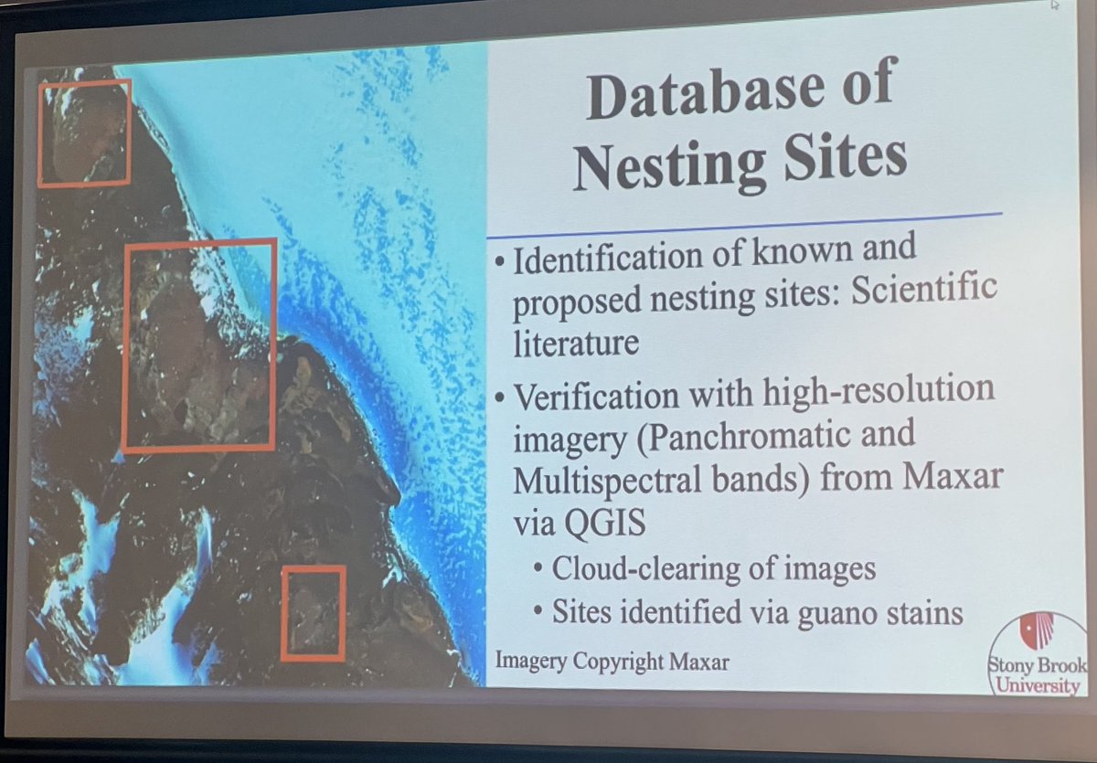 tmboucher's tweet photo. ⁦@ICCB2023⁩ Using satellite imagery to Look for a “shmeary” texture - that indicated bird poop of breeding Antarctic Petrels. https://t.co/d315Zz94gF