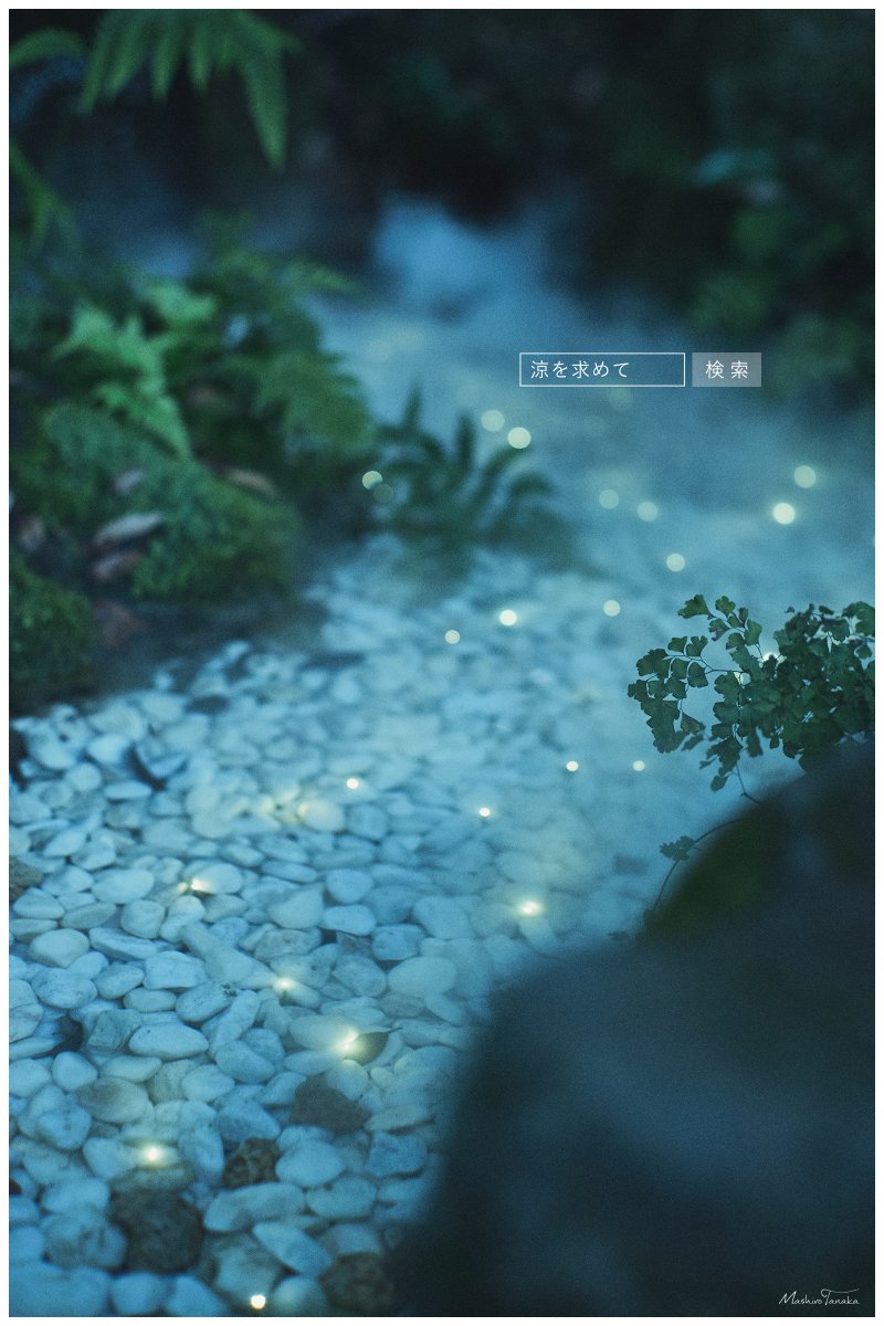 tnkmsr_photo's tweet photo. 画像検索「涼を求めて」 https://t.co/UGU6a3TAJT