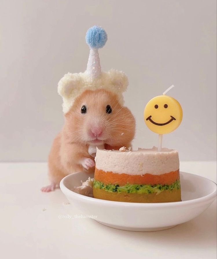 🎂