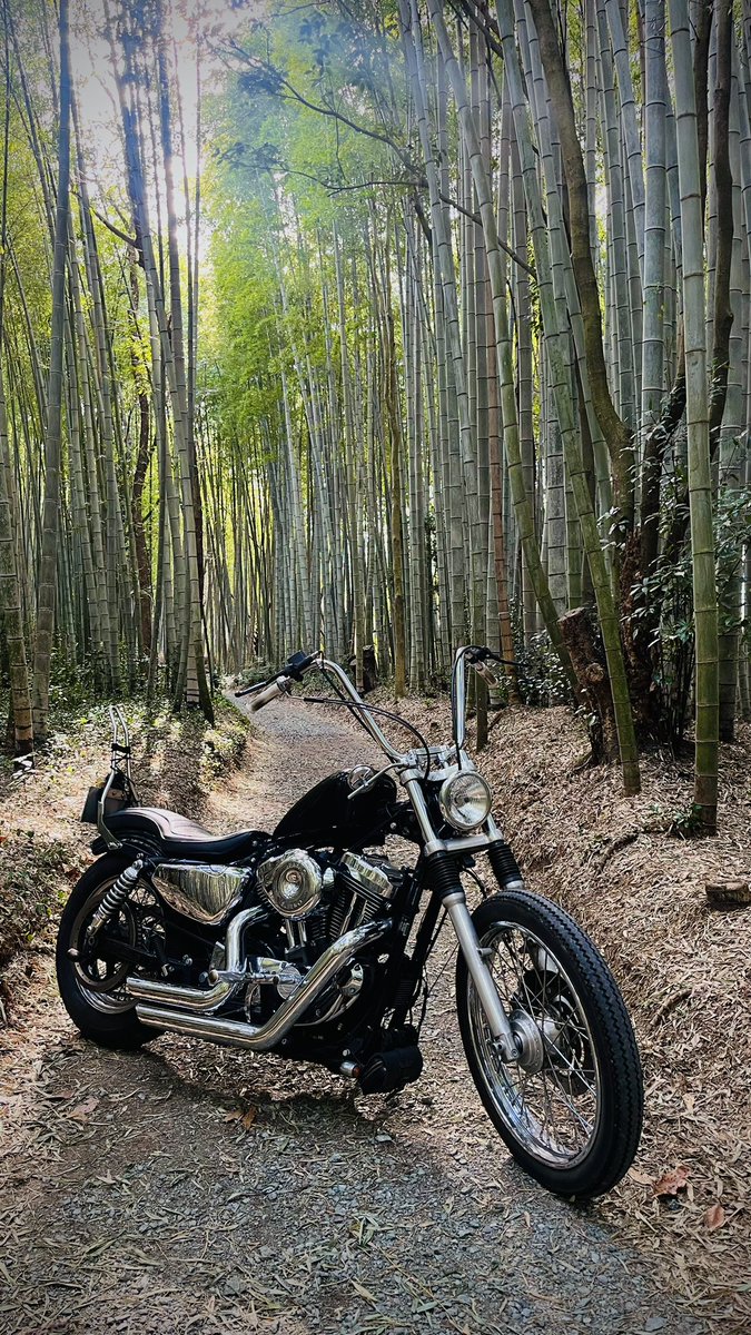 biketabi_hiro's tweet photo. そろそろハーレー直していこうかな！ https://t.co/CZbpPgTaBl
