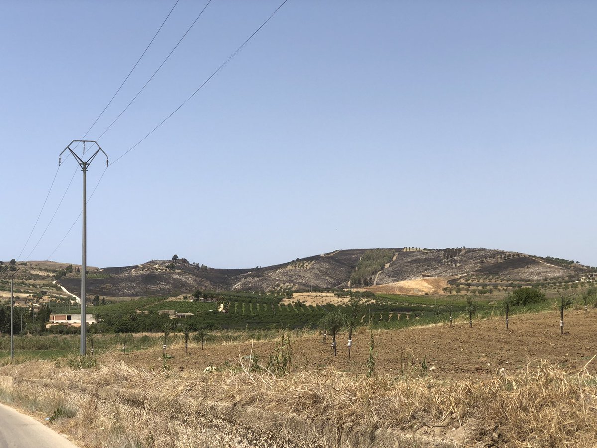 thepijetro's tweet photo. Look at Sicily now - deliberate burning of fields and pastures is widespread across the island, even in scorching temperatures exceeding 40°C. It's disheartening that we fail to learn anything. https://t.co/ybXNYIrvL4