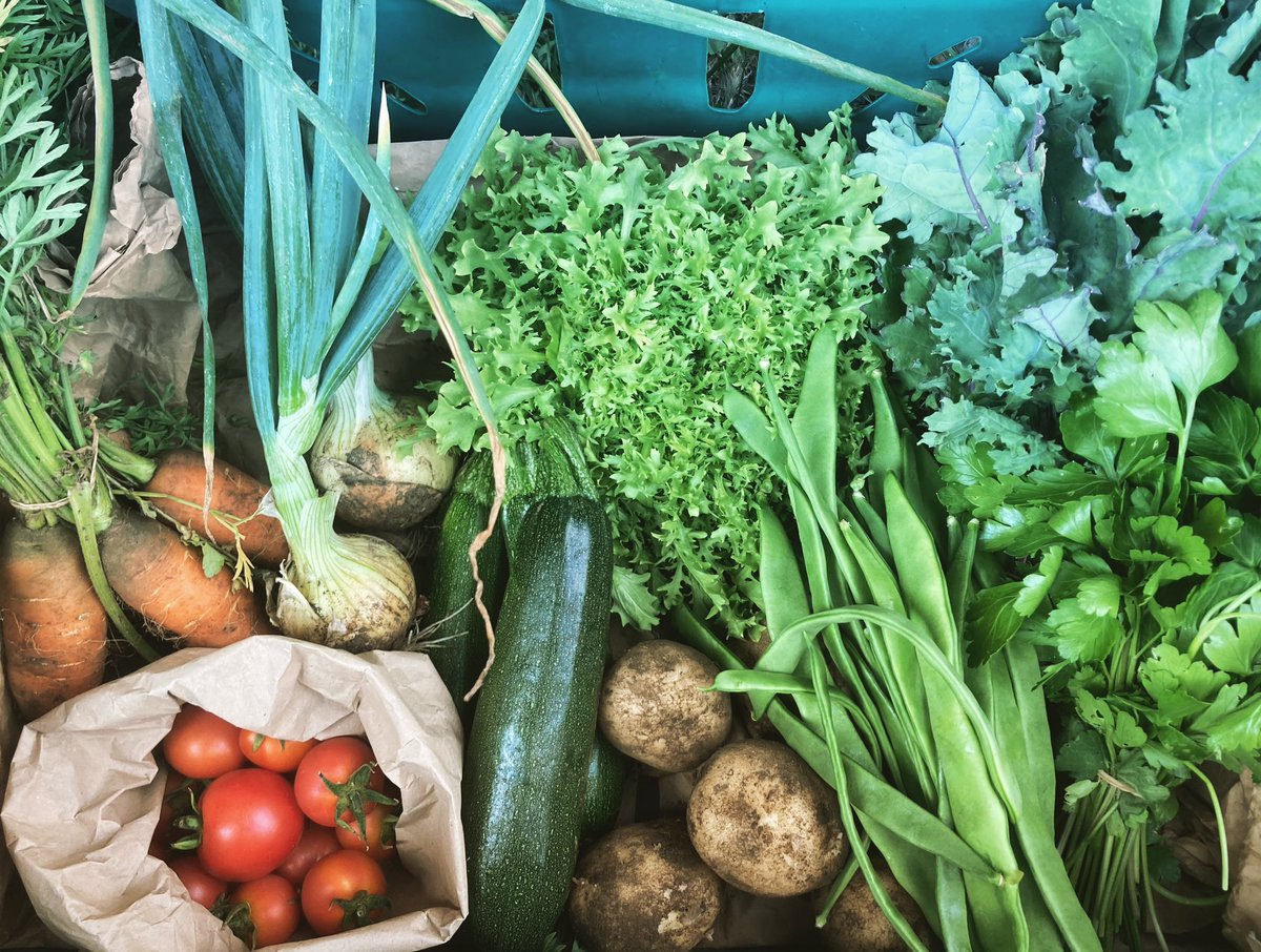 We're THRILLED to announce that 100% of all the veg in all our veg bags this week has been grown right here in #Enfield <a href="/fortyhallfarm/">Forty Hall Farm</a>- if you want to get a load of this locally grown, seasonal, organic produce then sign up for a bag!