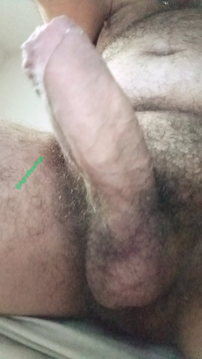 agrobearaqa's tweet photo. Quarta feira, o Urso 🐻 tá louco de tesão 🤤 afim de fazer filhotes 🧸
Pau cheio de tesão 😋🤤🍆
Vem experimentar 🍆🧸🐻

@AdoradorPaus 
@_K_A_I_R_O_S 

@Sabordmacho
@SoParaDivulgar
@GayAmadores
@piruzalgay2
@2Divulgamens
@Dovamassage
@Divulgaboys016

@SegredosHomem https://t.co/cvugnT7pHr