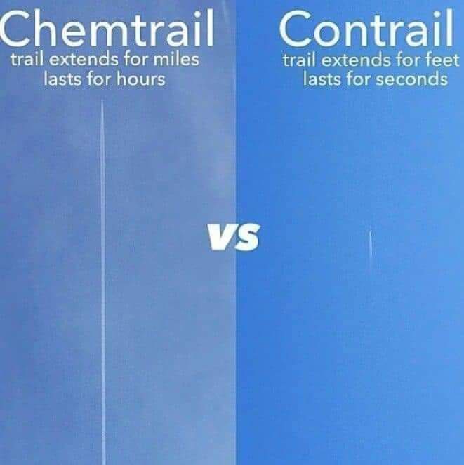 Brock Riddick (@brockriddickifb) on Twitter photo 