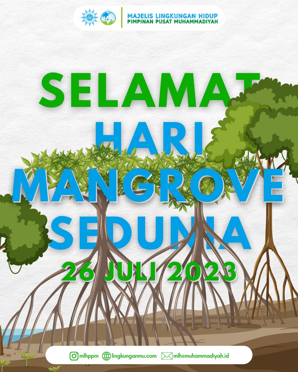 MLH_PP_Muh's tweet photo. "Jika kau melihat lebih kedalam, dalam semak ada serangga yang hidup, di ranting-ranting ada burung kerkicau, disela akar ada ikan dan kepiting. Itulah ekosistem menawan dari hutan mangrove".

Selamat Hari Mangrove Sedunia.
___________

#Muhammadiyah #harimangrovesedunia https://t.co/VcqEg7bZDQ