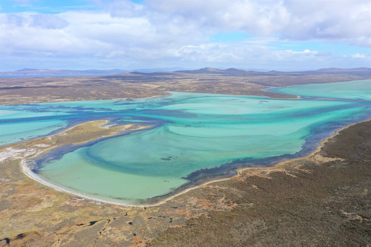 kelper60's tweet photo. Roll on Spring/Summer time...#Volunteerpoint #Falklandislands #wideopenspaces #offroading
I seem to be always wishing my life away...🙄 https://t.co/HQkrr51Uft