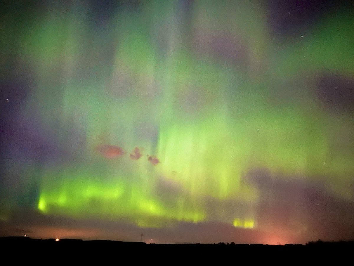 Bunsen, Beaker, Bernoulli & Brix tweet media