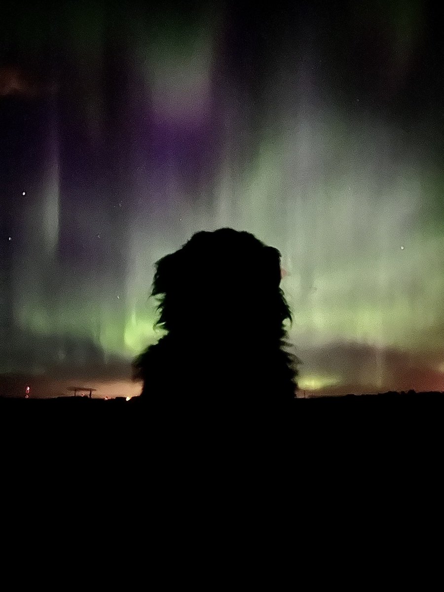 Bunsen, Beaker, Bernoulli & Brix tweet media