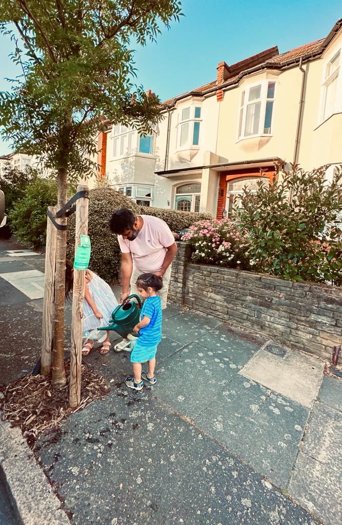 Street Trees for Living tweet media
