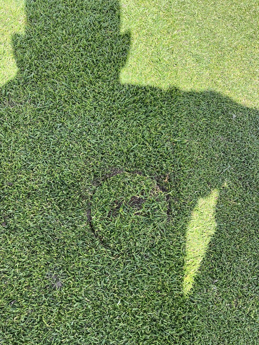 azzabazza86's tweet photo. Aprons on point after last weeks verticut, vertidrain and feed. Plugging and Hand picking weeds out of collars is quite relaxing👌🏻👌🏻 @ReddishValeGC @RVGCgreens https://t.co/3PlNAtLjTK