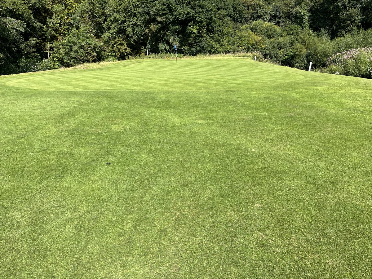 azzabazza86's tweet photo. Aprons on point after last weeks verticut, vertidrain and feed. Plugging and Hand picking weeds out of collars is quite relaxing👌🏻👌🏻 @ReddishValeGC @RVGCgreens https://t.co/3PlNAtLjTK