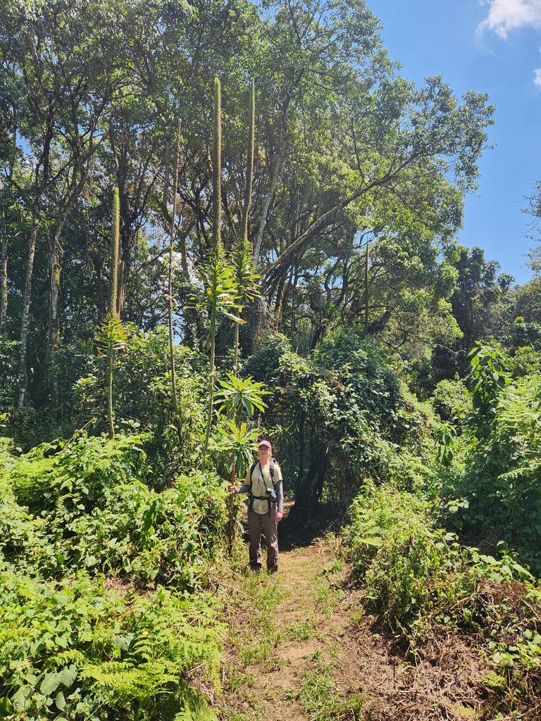 Alexandria Thomsen tweet media