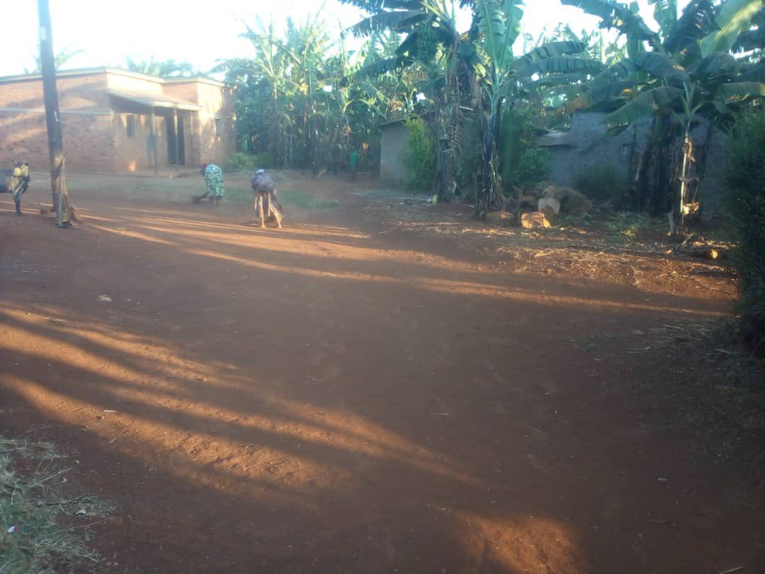 mushikirisector's tweet photo. Muri gahunda yo gukomeza kwimakaza umuco w’isuku n’isukura, hirya no hino mu Tugari tugize Umurenge wa Mushikiri, abaturage babyukiye mu #Gitondo cy’isuku, aho bakoze ibikorwa byo gusukura aho batuye, mu mihanda n’aho bakorera. https://t.co/YlJoe1ZNqZ
