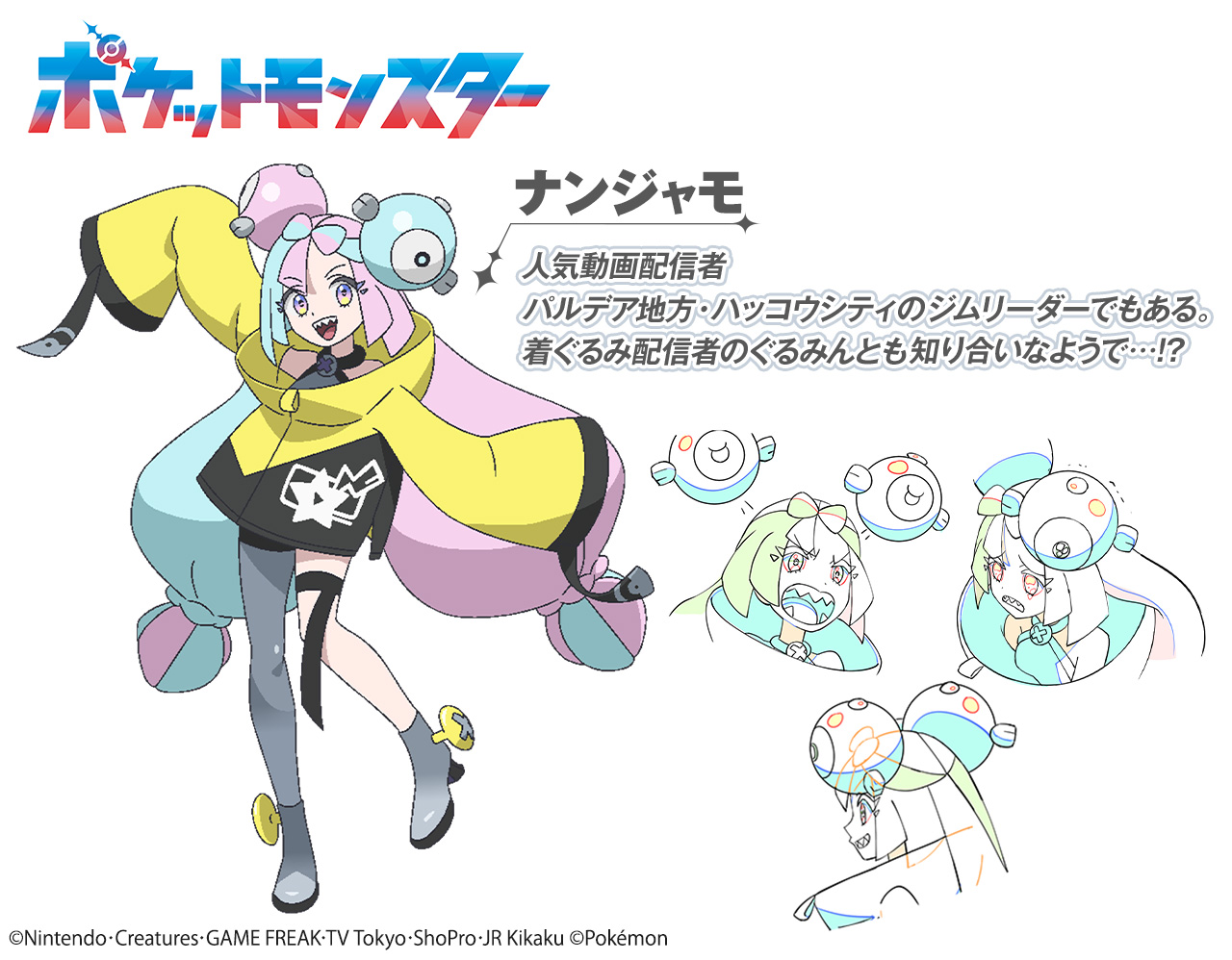 ナンジャモ ポケモン 手描きイラスト（ナンジャモ #イラスト