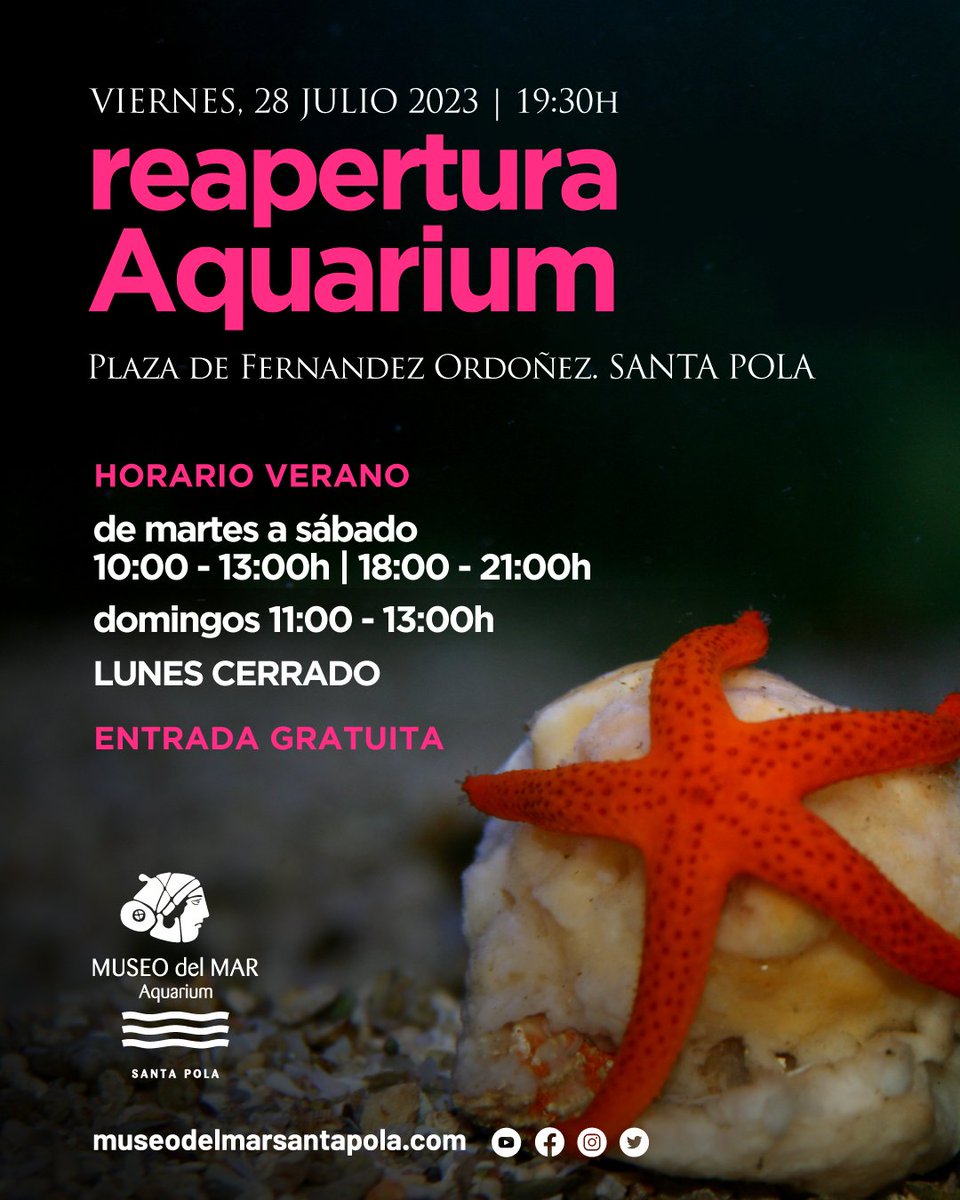 museodelmarsp's tweet image. El #Aquarium de #SantaPola 🐠 reabre sus puertas mañana a las 19:30h enfocado a la misión museológica del #MuseodelMarSantaPola y sus líneas de trabajo futuro se enfocarán a la educación y divulgación patrimonial.

#acuario #faunamarina #floramarina #mediterráneo  #patrimonio