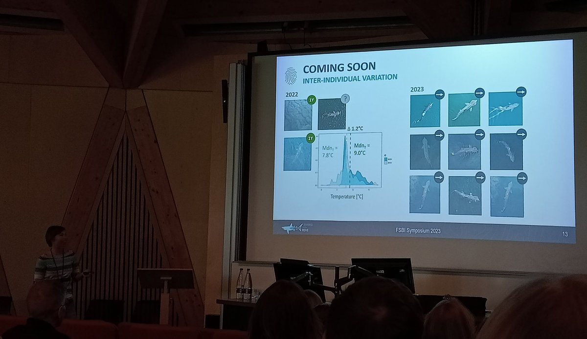 Elena Fdez. Corredor (@elenafcorr) on Twitter photo More cool sharks at @fsbi2023!
Looking forward to hear more about the work of <a href="/cakloecker/">Antonia Klöcker</a> with basking sharks 🦈✨ More cool sharks at @fsbi2023!
Looking forward to hear more about the work of <a href="/cakloecker/">Antonia Klöcker</a> with basking sharks 🦈✨