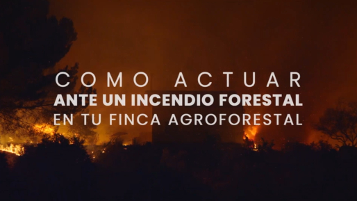 EMA INFOCA tweet media