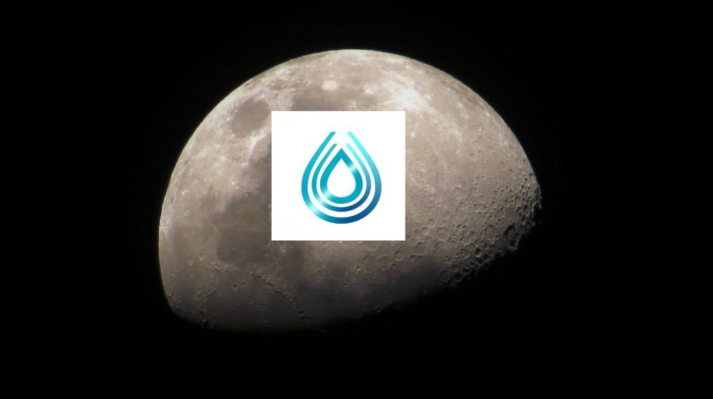 Are you excited about the fate of FTX?

#MEME #SRM #Doge #SRM2Point0 #Sam #pepe #ELONMUSK #twitterX #xrp #ArkHam #MURATIAI #crypto #memecoin #2point0 #2_0coin #coin2point0 #ham #hamcoin #hamstercoin #XTwitter