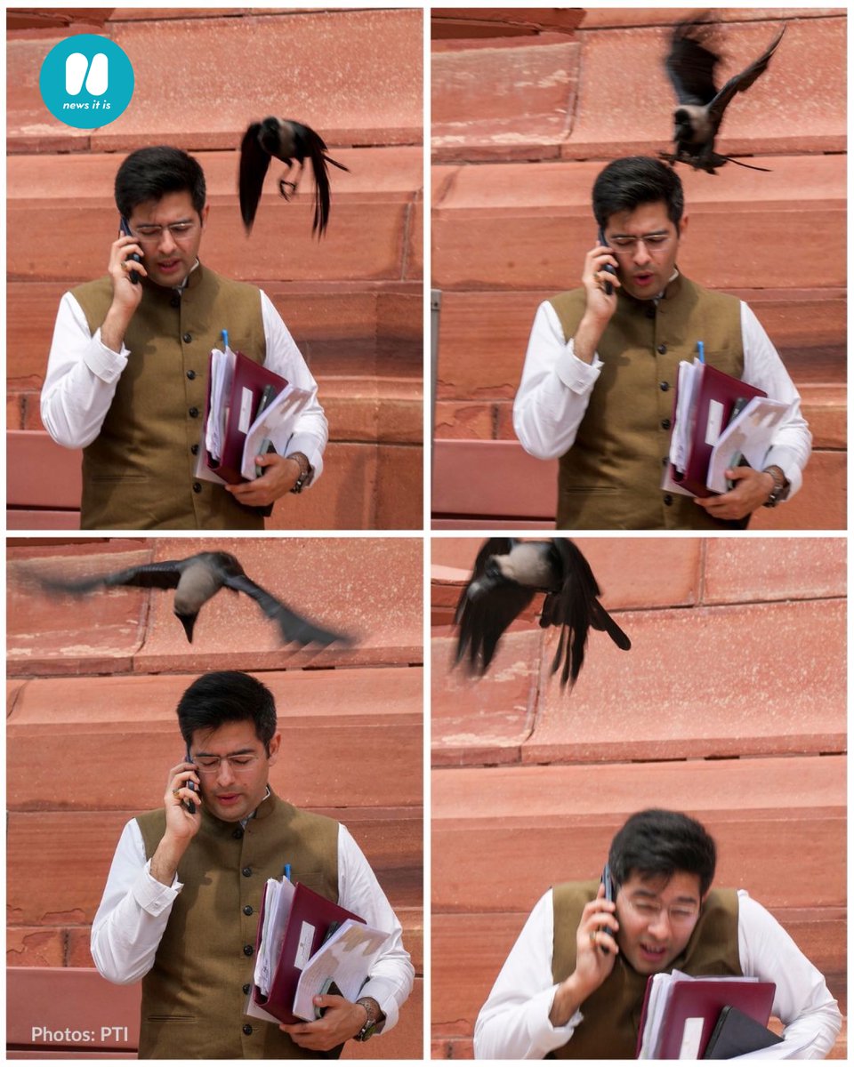 Newsitisoff's tweet photo. Caption this 📷 

Share your captions in the comments below 👇

Check out these photographs featuring #AAP MP #RaghavChadha at the #Parliament House complex during the Monsoon session in #NewDelhi. As a crow brushes past him, his reactions are captured in this image. PTI Photos https://t.co/F4WPTpkkn0