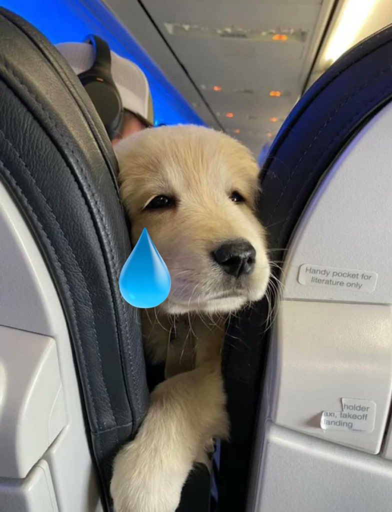 바람 (@baram_eee) on Twitter photo 