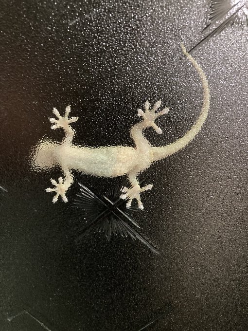 なんか君かなりデカくなってないか?? 