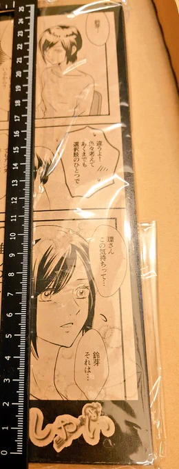 ぷちオンリーのロゴ、規定の2センチけっこう存在感あります…
モニターの目測で入れたから大体合ってて良かった…(目測するな) 