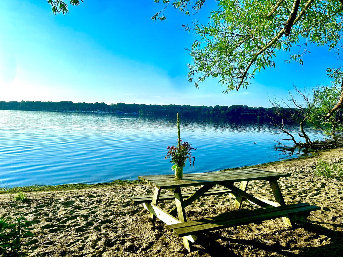 Jay Paterno tweet media