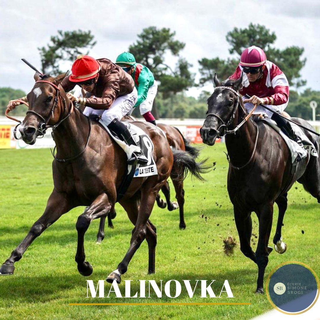 🏆 𝓜𝓪𝓵𝓲𝓷𝓸𝓿𝓴𝓪 (𝐟𝟐 𝐀𝐥 𝐖𝐮𝐤𝐚𝐢𝐫 &amp; 𝐂𝐢𝐛𝐨𝐮𝐥𝐞𝐭𝐭𝐞) wins on debut at la Teste de Buch under smart ride of Mickael Forest and for owners A. Jathiere, Free Man Racing, Chauvigny Global Equine, Seror Racing Management &amp; sɪᴍᴏɴᴇ Brogi.

𝕎𝕖𝕝𝕝 𝕕𝕠𝕟𝕖 !