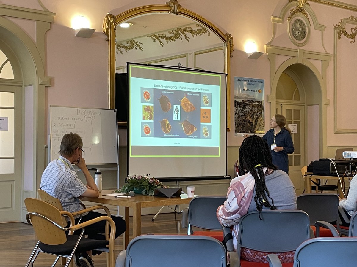 Laurent Seuront tweet media