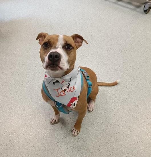 Nicola Bardon tweet media