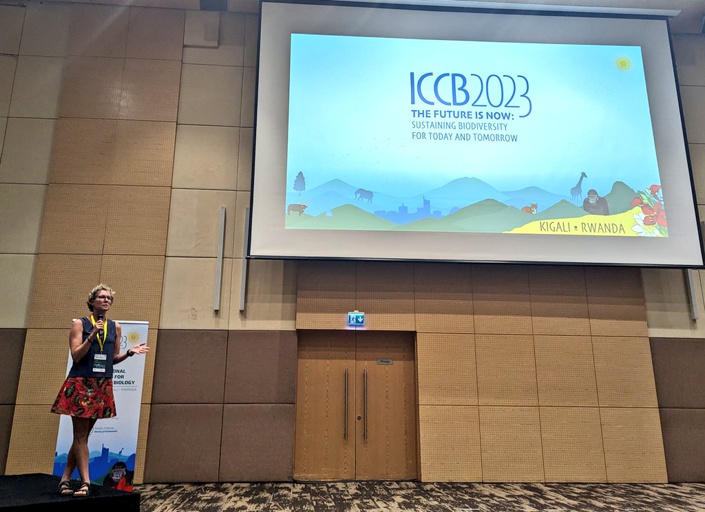 Amanda M. Adams tweet media