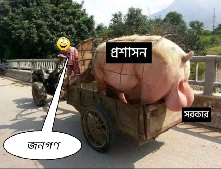jamaahalshabab's tweet photo. এজন্যই তারা জনগণের মাথায় কাঁঠাল ভেঙ্গে কোষ খেয়ে যায়! https://t.co/iUToPmbUiW