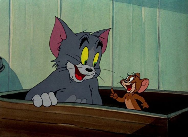 NoContextCFilm's tweet photo. Arkadaşlar biz geri döndük! https://t.co/S6irUQuXeI