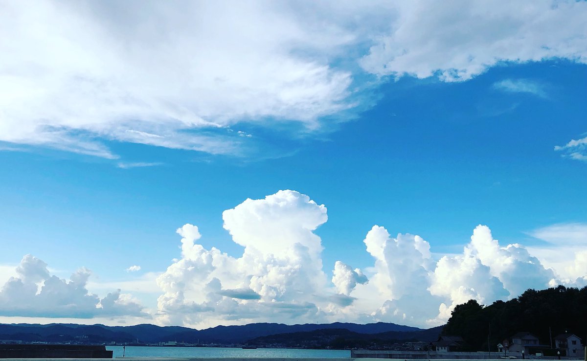 食べたらおいしいよね、きっと😄