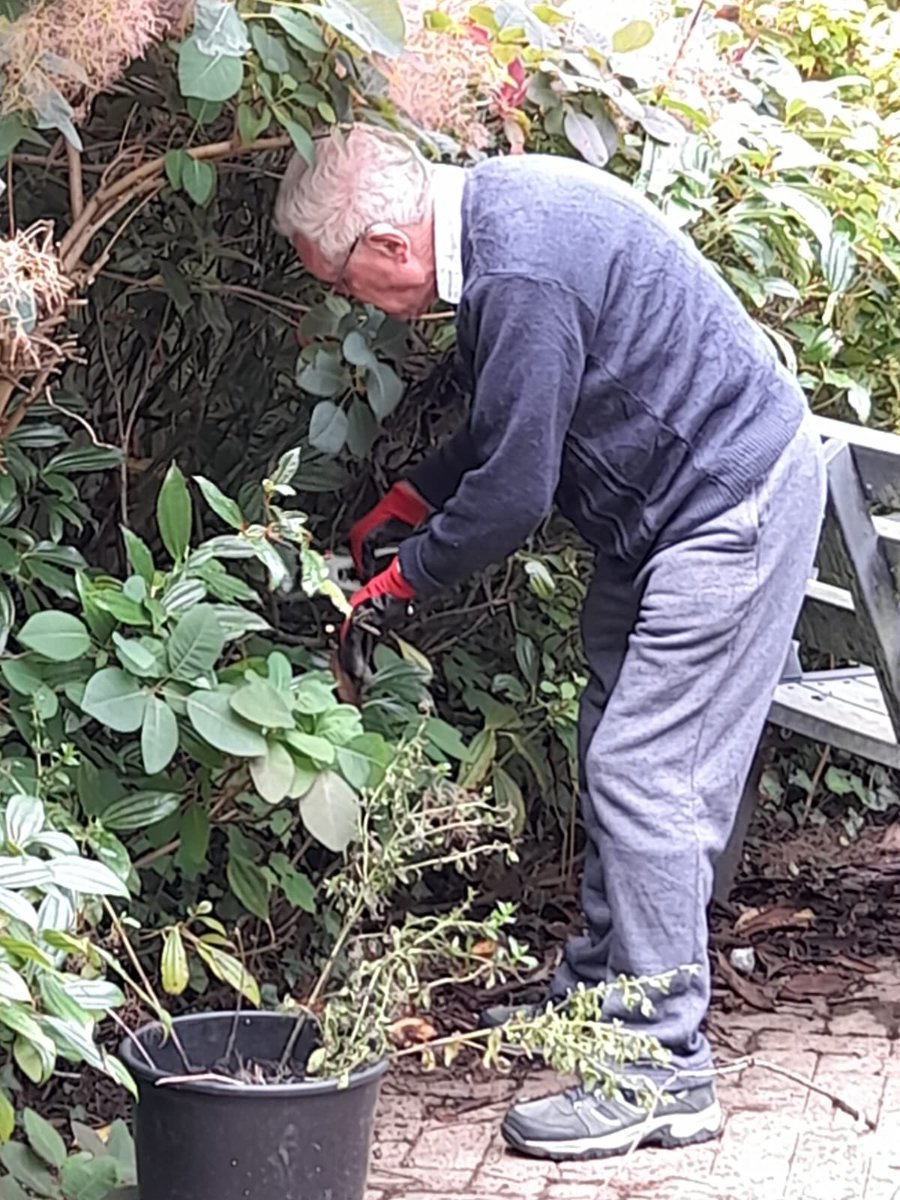 When people with Dementia continue to enjoy their favourite interests 🥰 #gardening #MonnowVale #IntegratedServices #personcentredcare  @burfoa @MonmouthshireCC @ceoabuhb @amanda_whent @AneurinBevanUHB @Jessica05338329