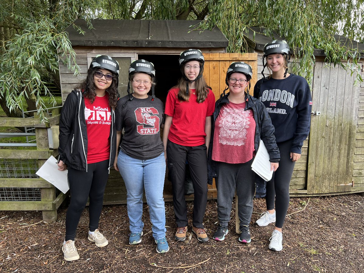 NCStateVetPAC's tweet photo. @NCState students perform equine gait analysis &amp; identify physiotherapy modalities for supporting recovery @HarperAdamsUni! Very full days of lectures, labs and assessments. @NCSUStudyAbroad @NCStateCALS https://t.co/OXCf1QsfZK